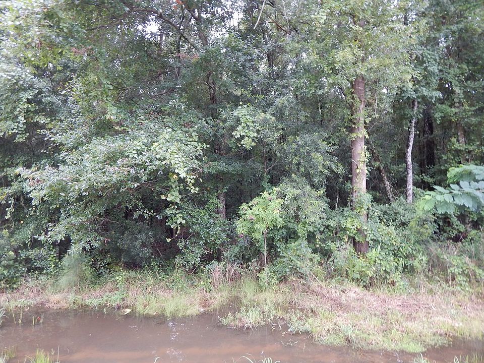 2nd image of 0 E Oglethorpe Hwy
