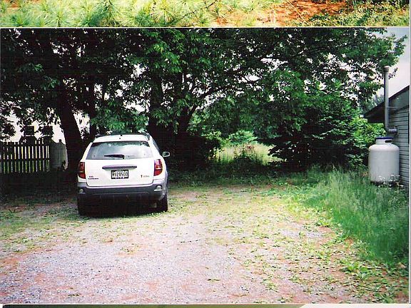 Pine forest and back yard parking