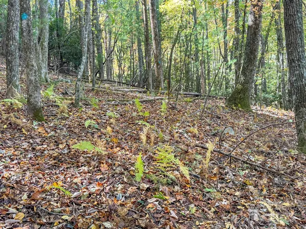 345 Christa Ln, Arden, NC 28704