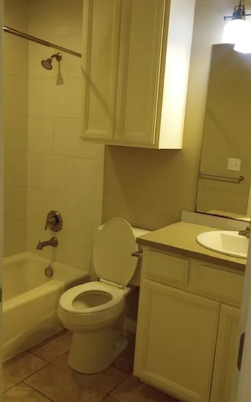 Hall bathroom
