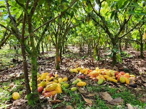 16-1774 40th St, Keaau, HI 96749