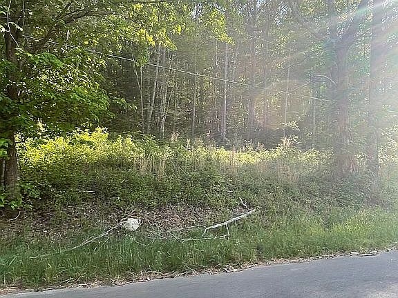 4th image of 0 Lower Gordon Springs Rd