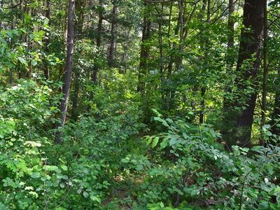 269 S Walpole St, Sharon, MA, 02067