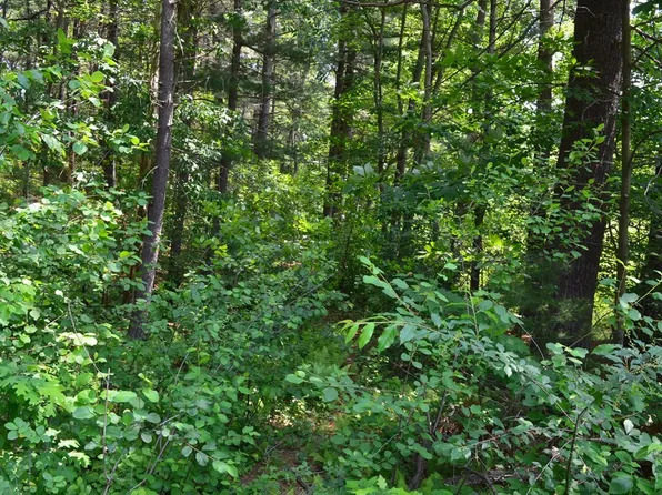 269 S Walpole St, Sharon, MA 02067