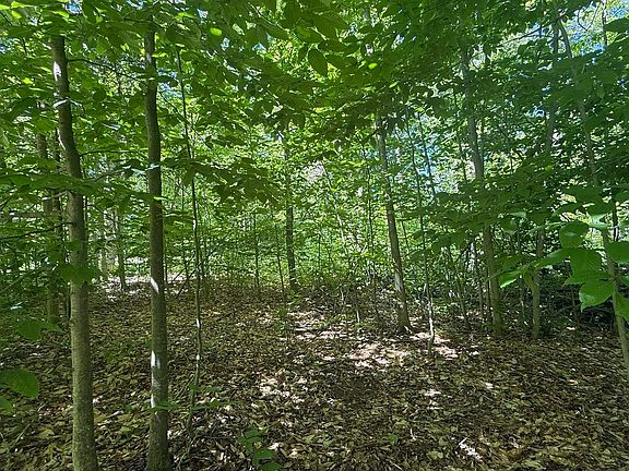 5th image of Lots 259 & 260 Cliffmont Dr Lot 259-60