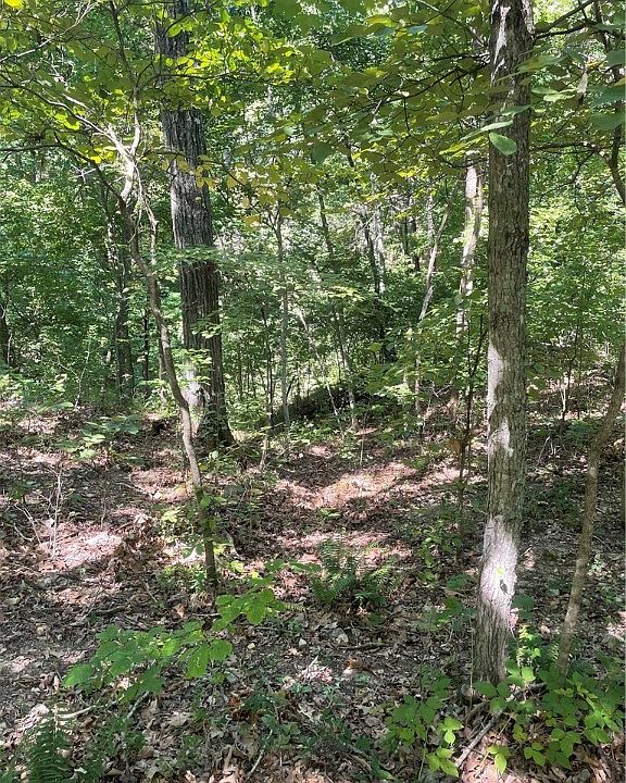 2nd image of Patton Ln #68
