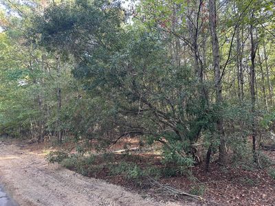 1212 Hudson Rd, Summerton, SC, 29148