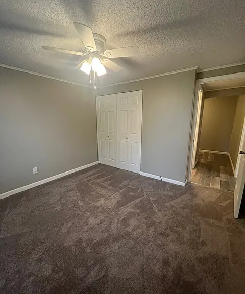 Cedarwood — Photo 8