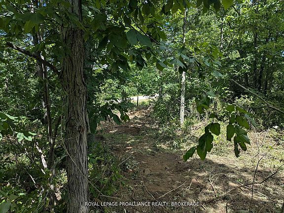 2nd image of 2621 4th Concession Rd