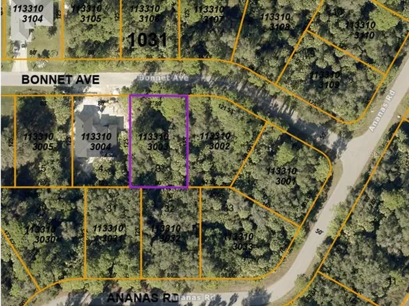 3 Bonnet Ave, North Pt, FL 34288