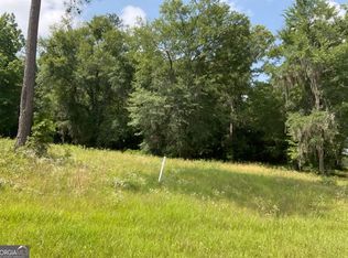 35 River Ridge Dr, Hawkinsville, GA 31036