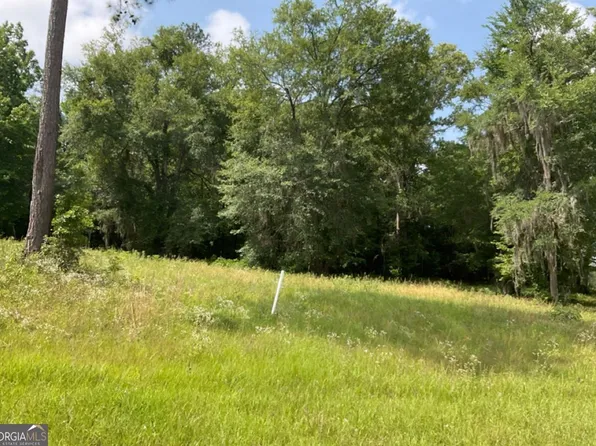 35 River Ridge Dr, Hawkinsville, GA 31036