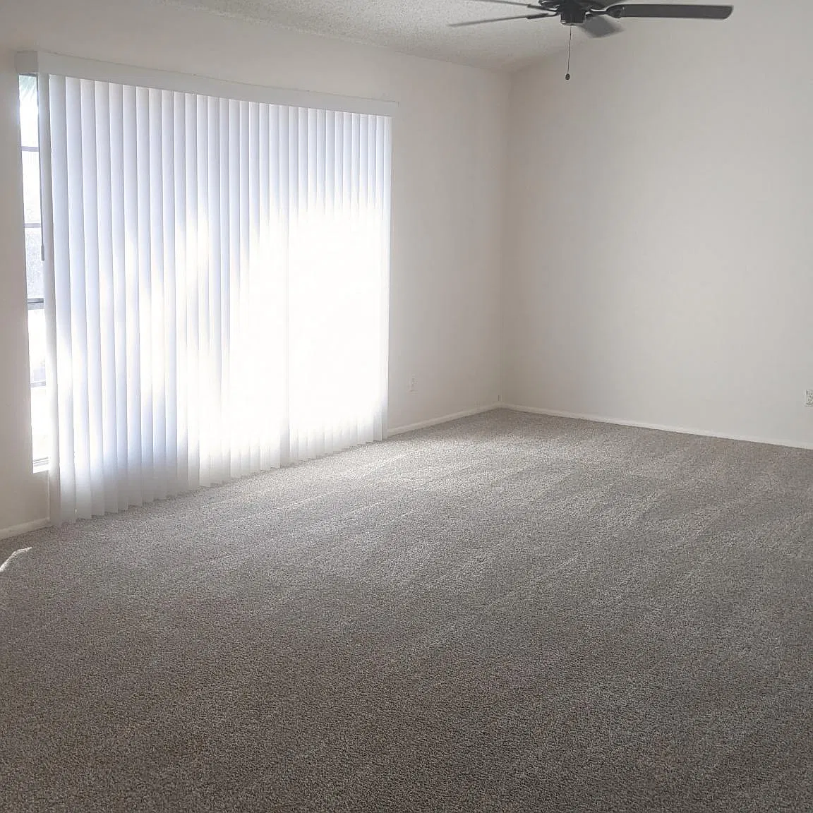 7118 W McLellan Rd — Photo 3
