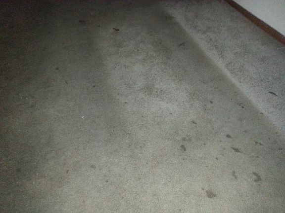 3rd image of 1724 Amos St