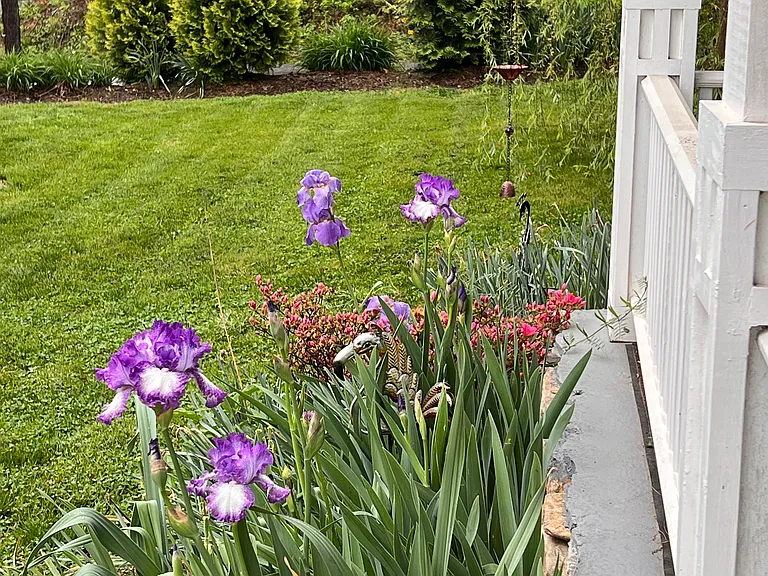 29 White Oak Rd — Photo 2