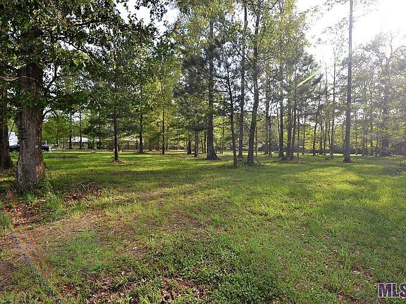 3rd image of 13811&13819 Savannah Dr