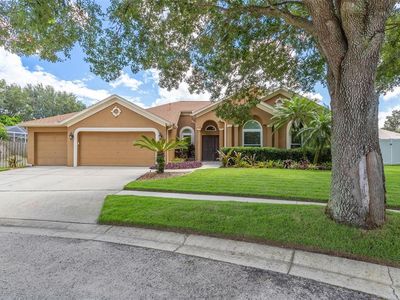 1107 Camphor Glen Ct, Valrico, FL, 33594