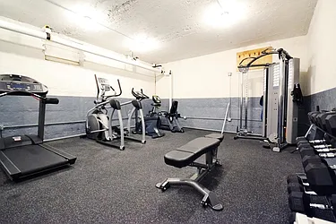 Rented by Bold New York