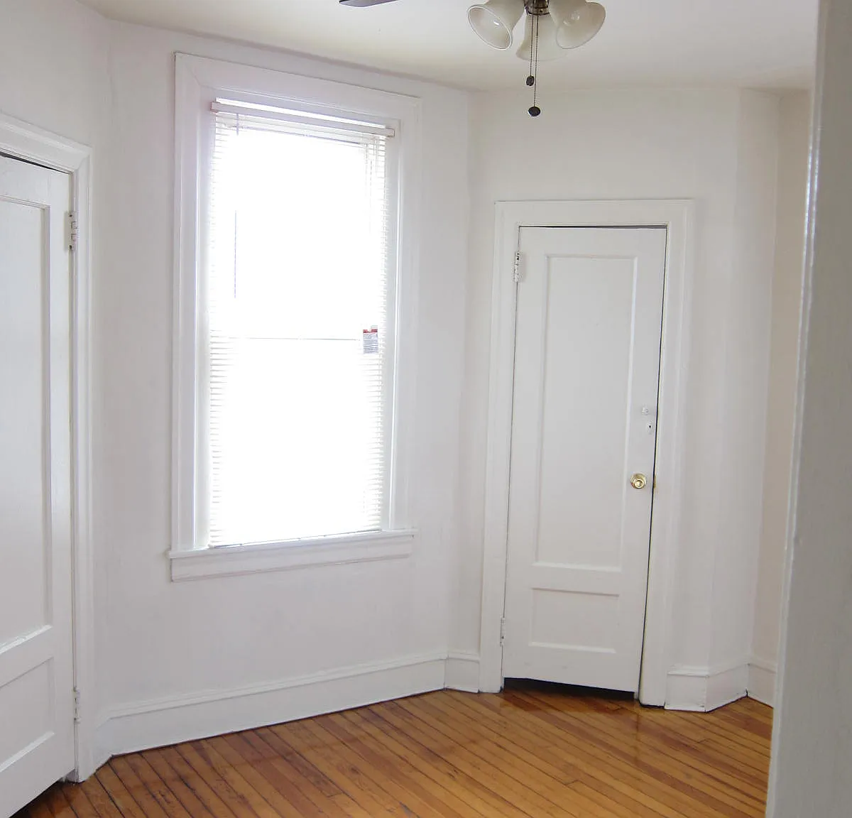 2 bed, 800 sqft, $1,100 — Photo 4