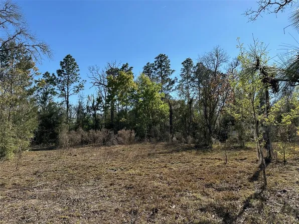 13610 NE 8TH STREET LOT 1, WILLISTON, FL 32696