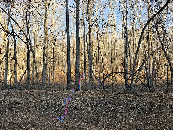 3rd image of 2 John Ross Hollow Rd Lot 2
