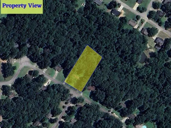 157 Kathy Ct Lot 29, Douglasville, GA 30134