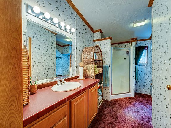 5th image of 446 Pleasant Pine Cir