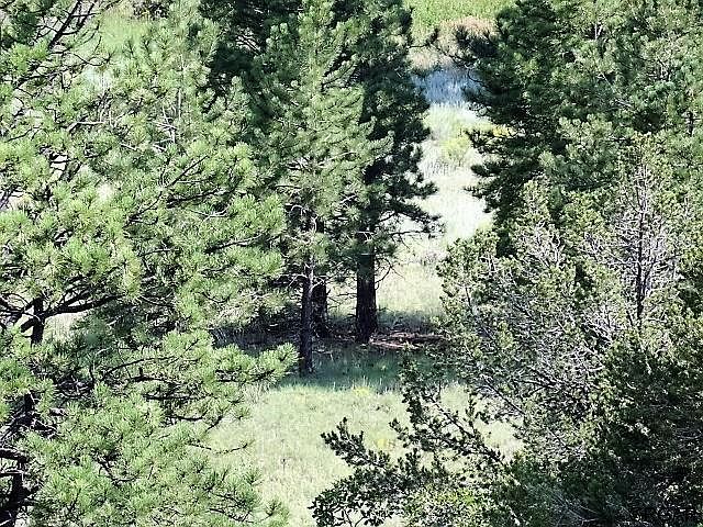 1st image of L13 Doreen Dr