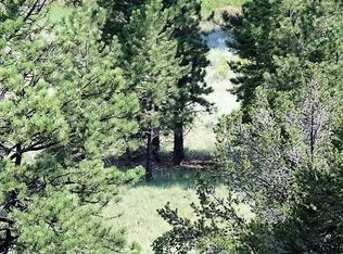 L13 Doreen Dr, Westcliffe, CO 81252