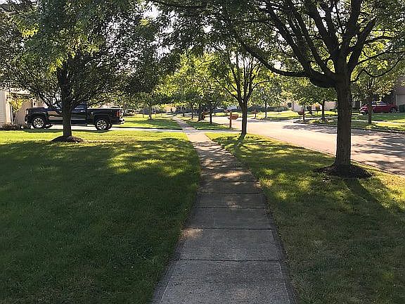 3rd image of 10649 Brettridge Dr