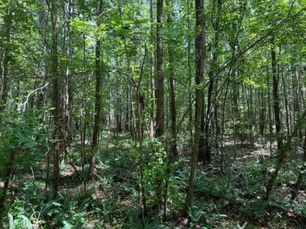 24A Atomic Rd, Beech Island, SC 29842