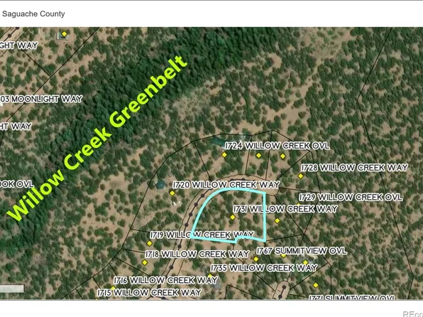 1731 Willow Creek Way, Crestone, CO 81131