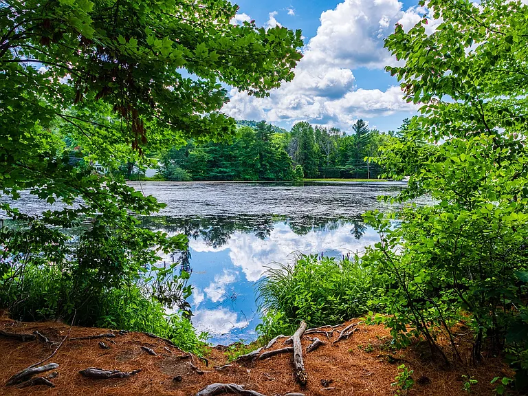 MillPond2022-37
