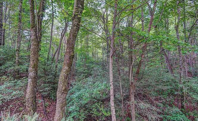 1st image of LT 26 Ivy Log Estates Ii