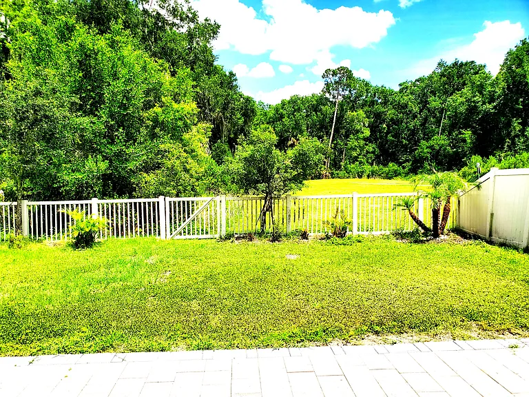 rearviewc6_05272026