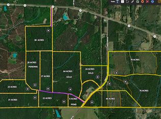 Vincetown Rd LOT WP001, Sandy Hook, MS 39478
