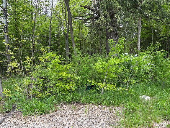 3rd image of 104264 Grey Ave #18