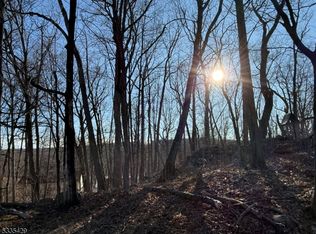 10 Moccasin Trl, Lake Hopatcong, NJ 07849