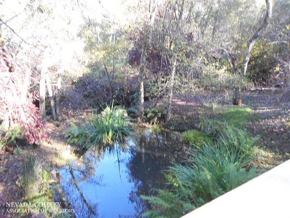 3rd image of 14539 Sun Forest Dr