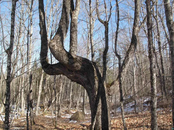 2 Hillside Dr, Lutsen, MN 55612