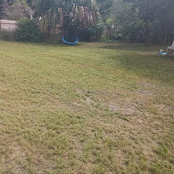 1005 N Tangerine St — Photo 8