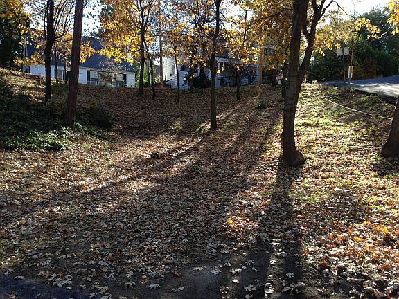 4th image of 411 Palisades Ct