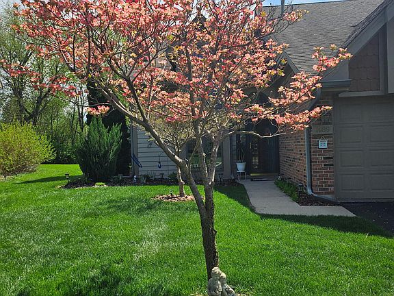 3rd image of 1489 Grand Isle Ct