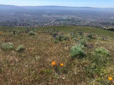 0 Higuera Rd, San Jose, CA, 95148