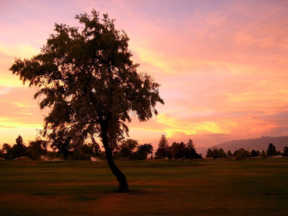 Sunset view from back yard.