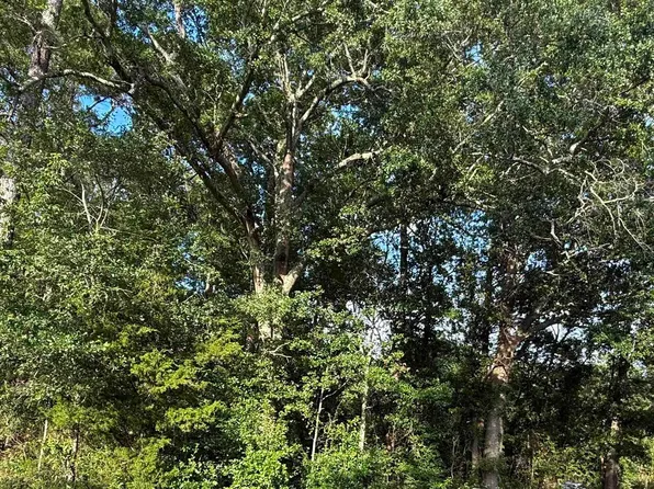 0 Hidden Valley Dr, Orangeburg, SC 29118