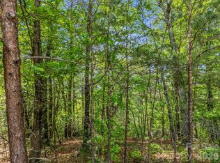 4 Woodward Dr, Mill Spring, NC 28756