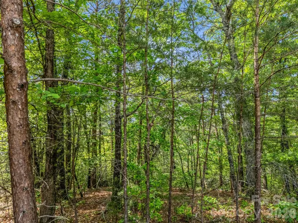 4 Woodward Dr, Mill Spring, NC 28756