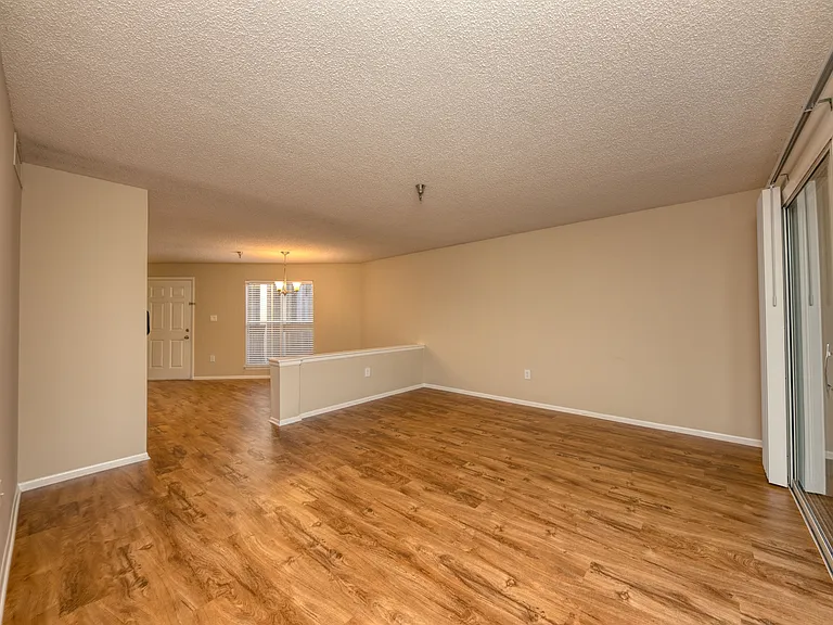 Palm Cove Apartments — Photo 20