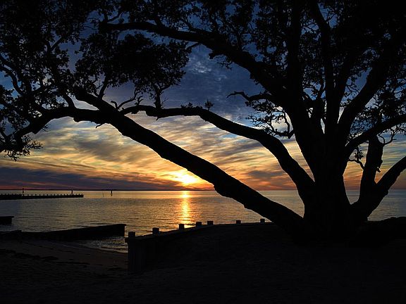 Sunset at the Soundside Park